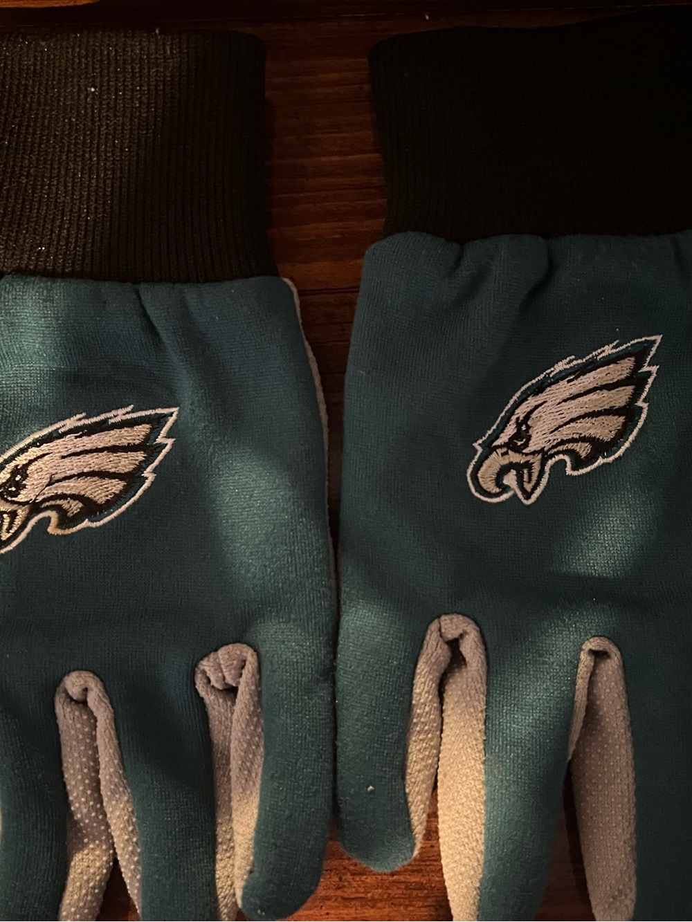 †Philadelphia Eagles FOCO Gloves Adult One Size Green Two Tone Lin - Worn Once!⁠
